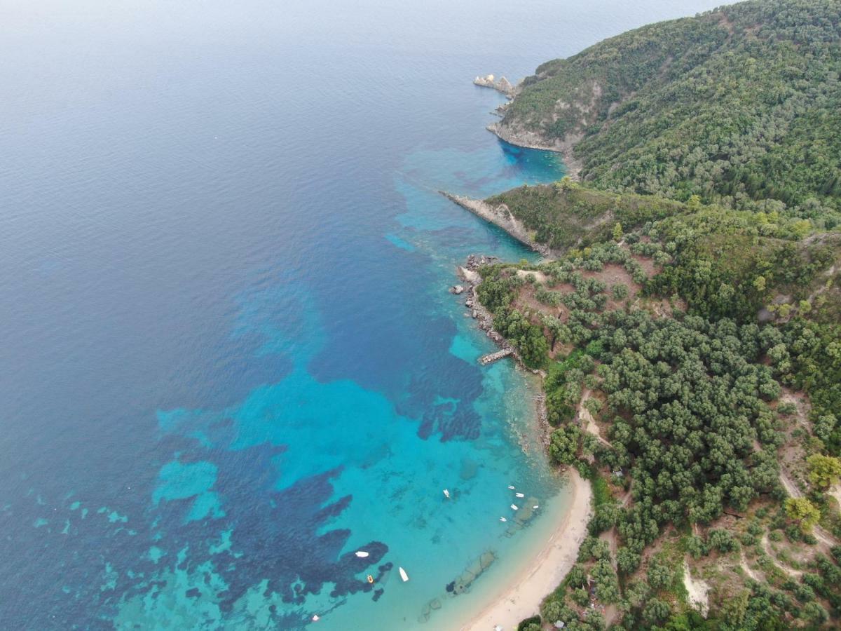 Dolphin 1 * Parga