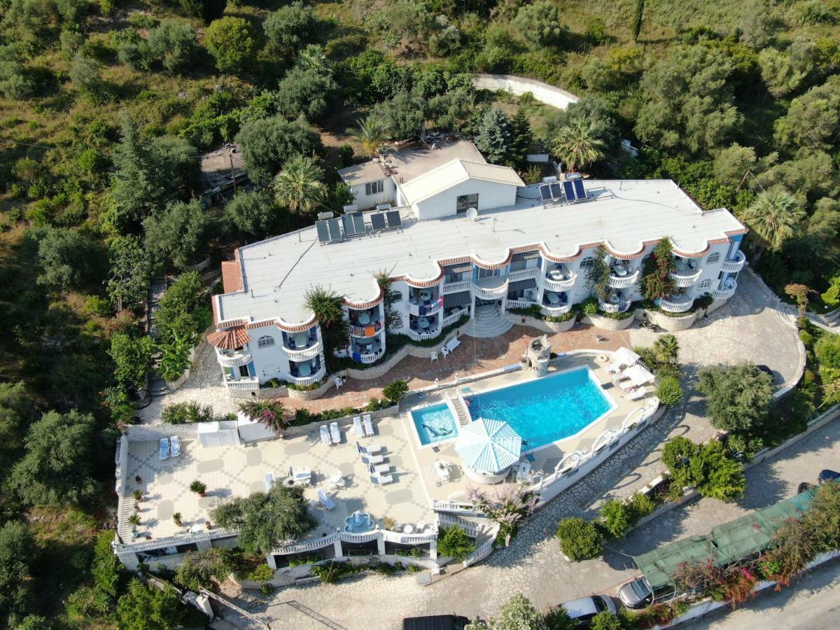 Dolphin 1 Parga